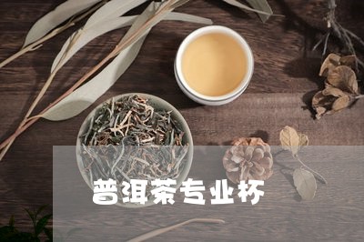 普洱茶专业杯/2023042824213