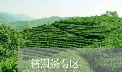 普洱茶专区/2023090563825