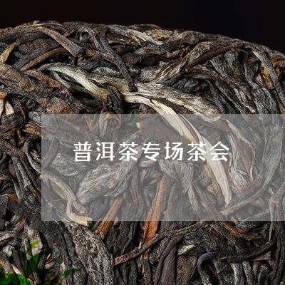 普洱茶专场茶会/2023102624827