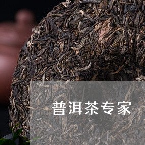 普洱茶专家/2023090625061