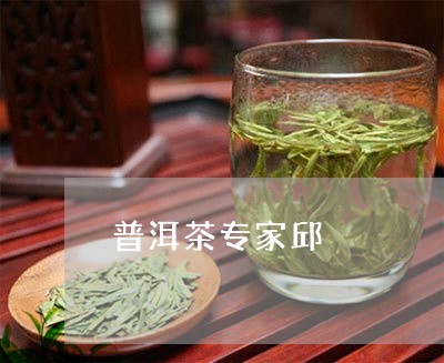 普洱茶专家邱/2023091351512