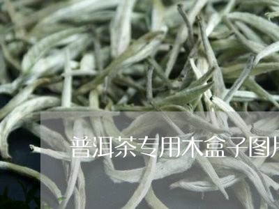 普洱茶专用木盒子图片欣赏/2023110466058