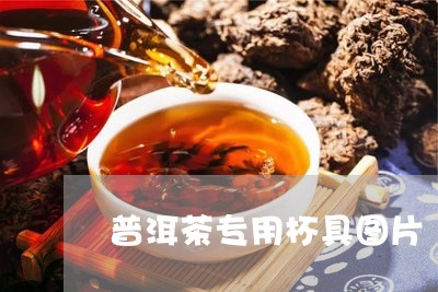 普洱茶专用杯具图片/2023071198391