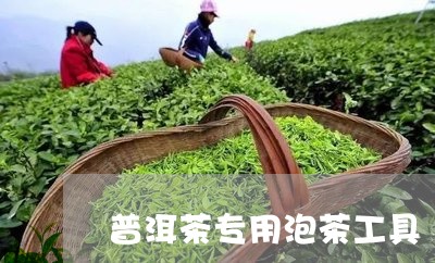 普洱茶专用泡茶工具/2023121669592