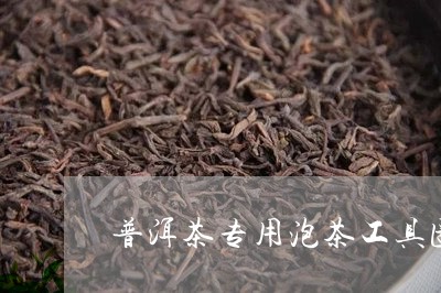 普洱茶专用泡茶工具图片/2023102585138