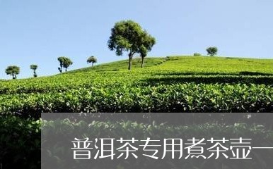 普洱茶专用煮茶壶一套/2023120615046