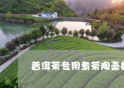 普洱茶专用煮茶陶壶好吗/2023121672612