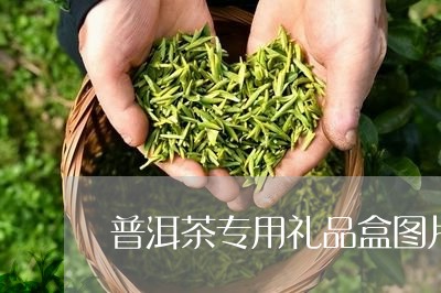 普洱茶专用礼品盒图片高清/2023121638594