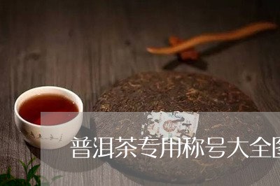 普洱茶专用称号大全图/2023110675240