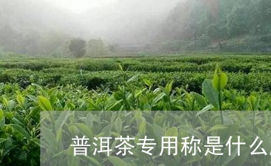 普洱茶专用称是什么牌子/2023112856137