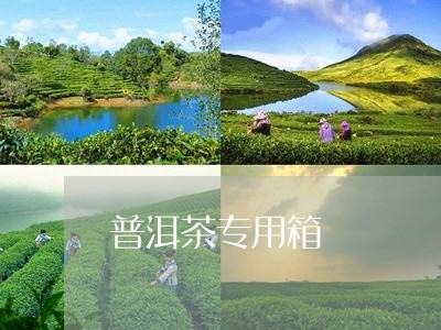 普洱茶专用箱/2023042567752