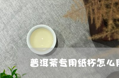 普洱茶专用纸杯怎么用好/2023110422893