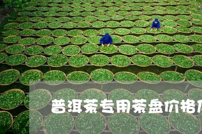 普洱茶专用茶盘价格及图片/2023112527473