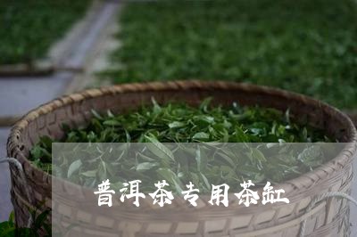 普洱茶专用茶缸/2023120314058