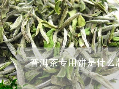 普洱茶专用饼是什么牌子/2023102419372