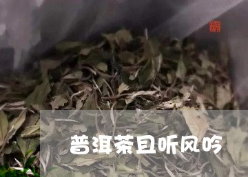 普洱茶且听风吟/2023082993036