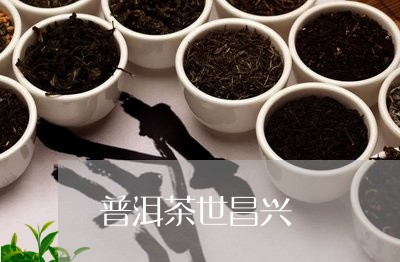 普洱茶世昌兴/2023042692143