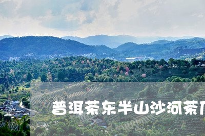 普洱茶东半山沙河茶厂/2023100736268