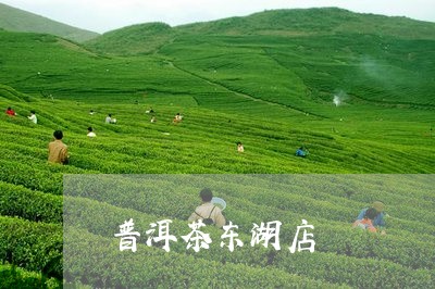 普洱茶东湖店/2023042815035