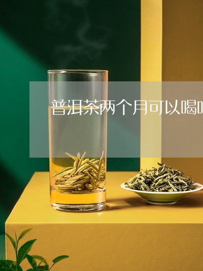 普洱茶两个月可以喝吗/2023092627162