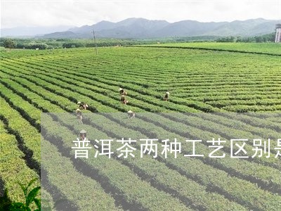 普洱茶两种工艺区别是啥/2023050459581