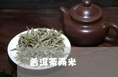 普洱茶两米/2023112686393