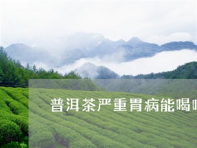 普洱茶严重胃病能喝吗/2023062211612