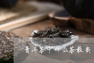 普洱茶中什么茶最贵/2023091484129