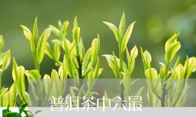 普洱茶中六最/2023042554093