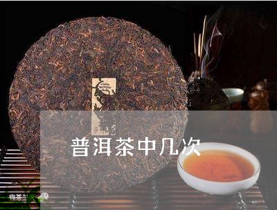 普洱茶中几次/2023042807561