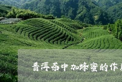 普洱茶中加蜂蜜的作用和功效/2023052930581