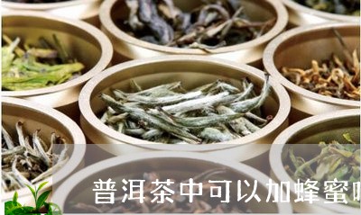 普洱茶中可以加蜂蜜吗/2023092842157