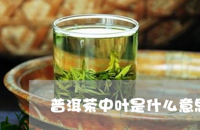 普洱茶中叶是什么意思/2023062389472