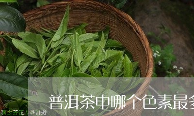 普洱茶中哪个色素最多/2023080197038