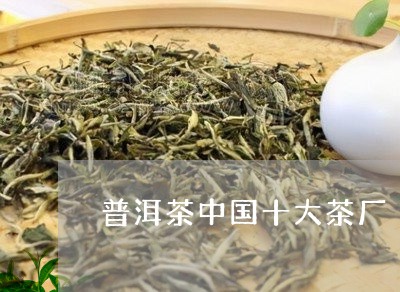 普洱茶中国十大茶厂/2023091531593