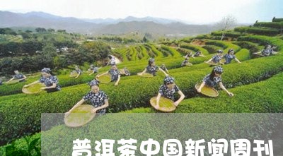 普洱茶中国新闻周刊/2023062580723