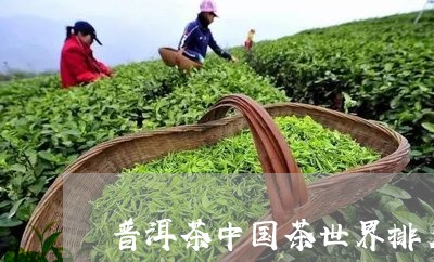 普洱茶中国茶世界排名/2023073057368