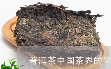 普洱茶中国茶界的半壁江山/2023112937482