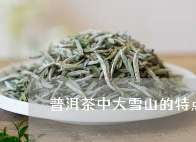 普洱茶中大雪山的特点/2023072362857