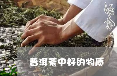 普洱茶中好的物质/2023101630836