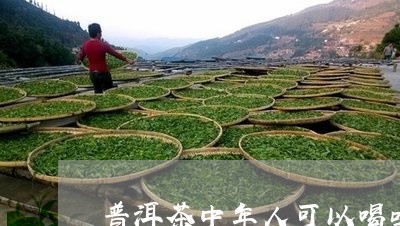 普洱茶中年人可以喝吗/2023061644838