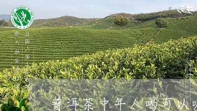 普洱茶中年人喝可以嘛/2023072378392