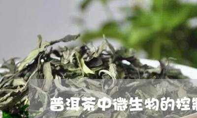 普洱茶中微生物的控制/2023061939491