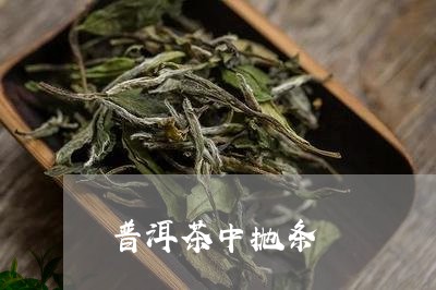 普洱茶中抛条/2023042855839