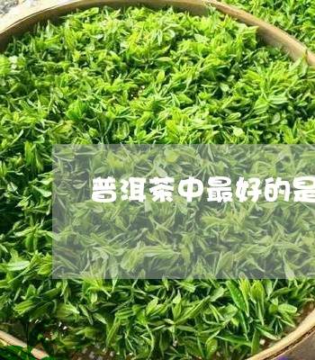 普洱茶中最好的是什么/2023062118493