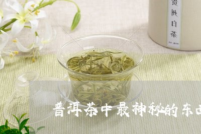 普洱茶中最神秘的东西/2023100615469