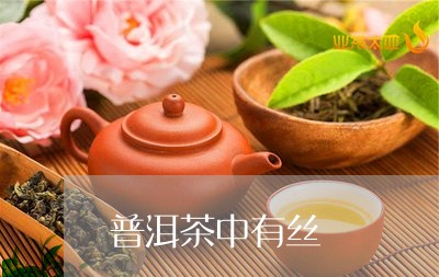 普洱茶中有丝/2023042784955