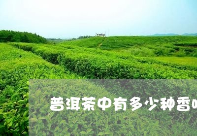 普洱茶中有多少种香味/2023080213795