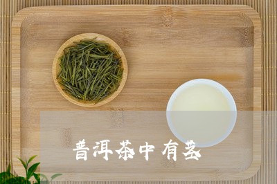 普洱茶中有茎/2023042731994