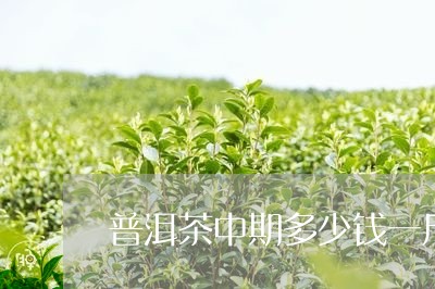 普洱茶中期多少钱一斤/2023072227259